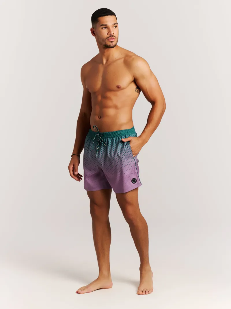 Protest PRTNorthaw Beachshorts Dark Teal