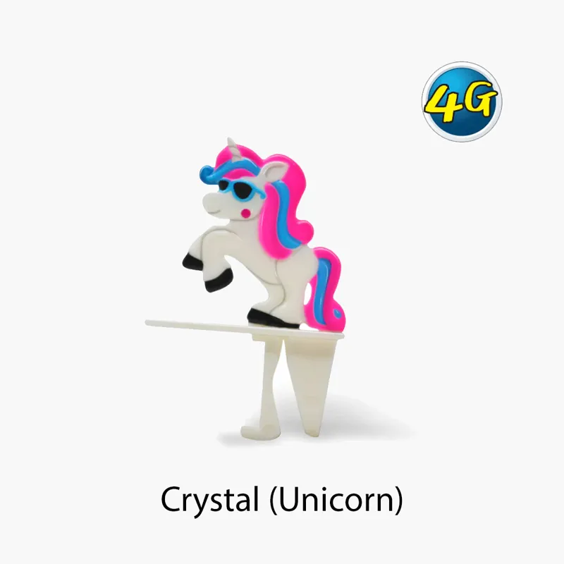 Surfer Dudes Surfer Pets 4G-4