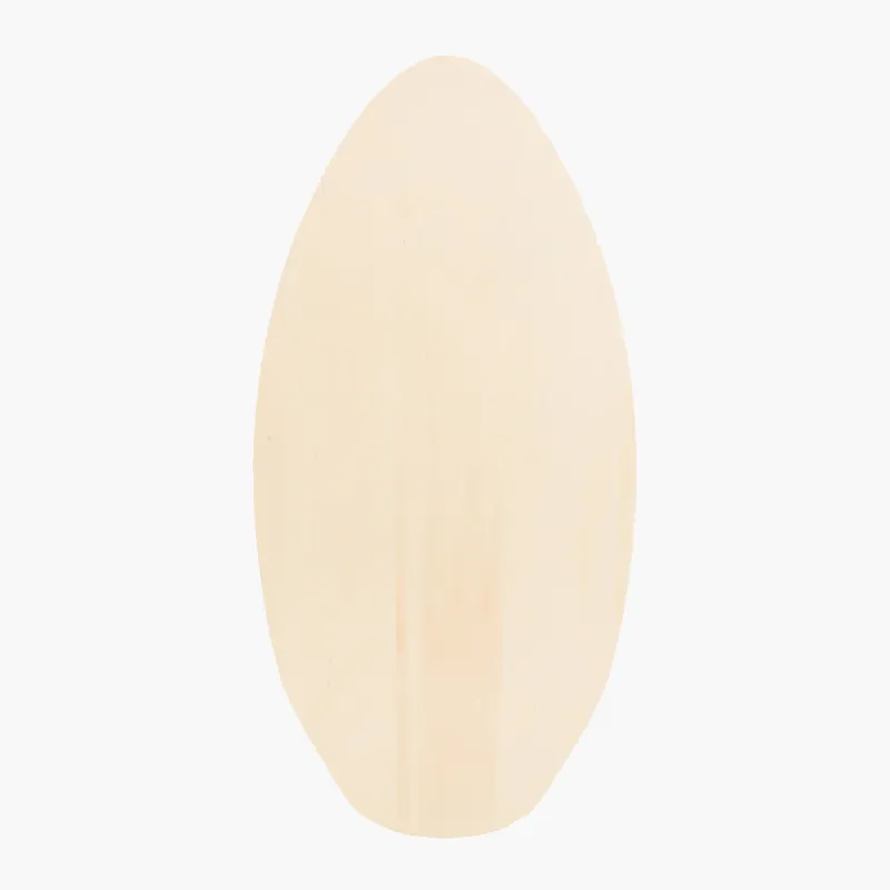 Vision Spark Skimboard-2