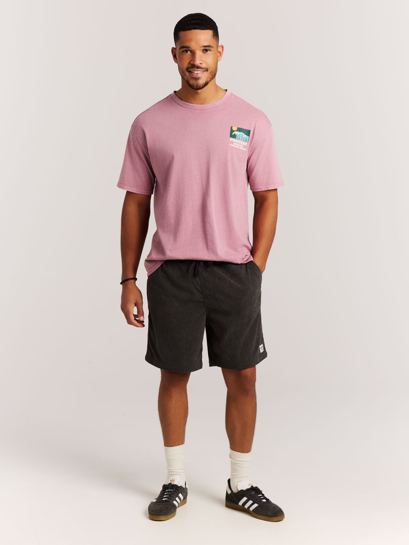 Protest PRTUleyo Shorts Deep Grey