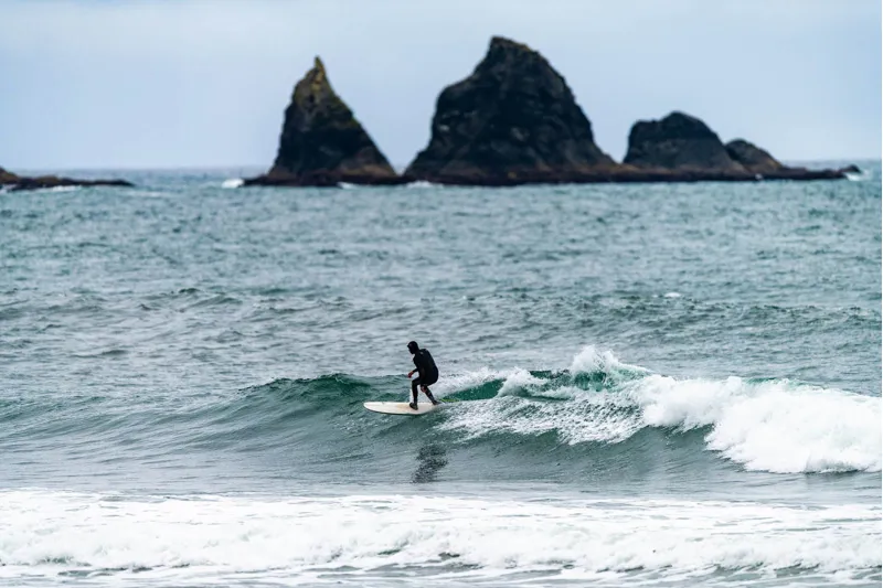 Lib Tech 8'0 Pickup Stick-6